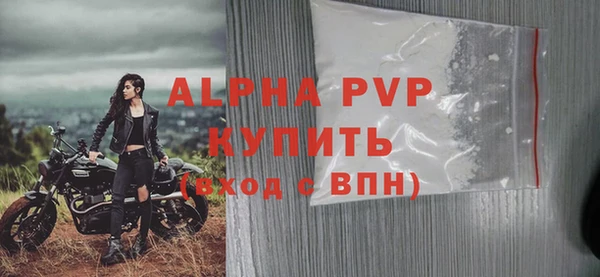 мдпв Осташков