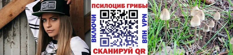 цены наркотик  ссылка на мегу ONION  Галлюциногенные грибы прущие грибы  Урус-Мартан 